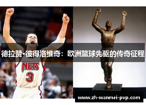 德拉赞·彼得洛维奇：欧洲篮球先驱的传奇征程